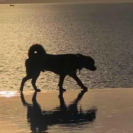 Mykonos Sea View Luxury By Calypso Sunset Mykonos Town