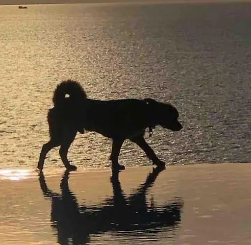 Mykonos Sea&sunset View Pool-hot Tub By Calypso Sunset Mykonos Town
